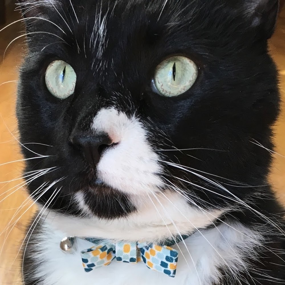 Meet your Posher, Kc